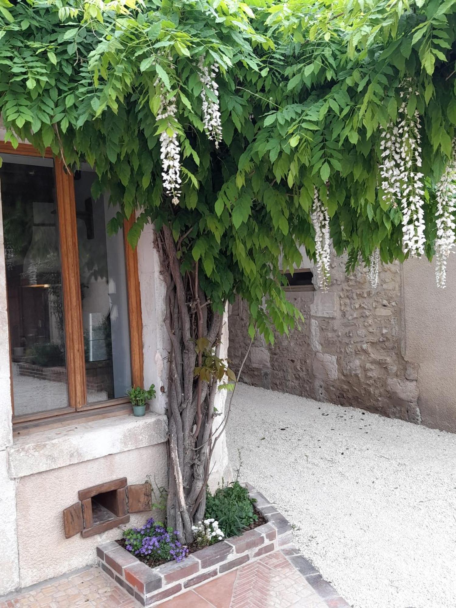 Aux Sources De Ouanne住宿加早餐旅馆 外观 照片